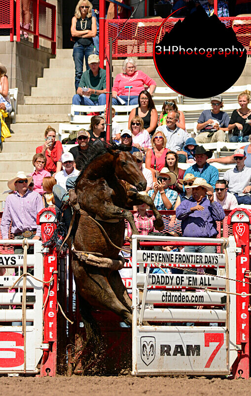 _DSC8834 - 2018 Cheyenne Frontier Days