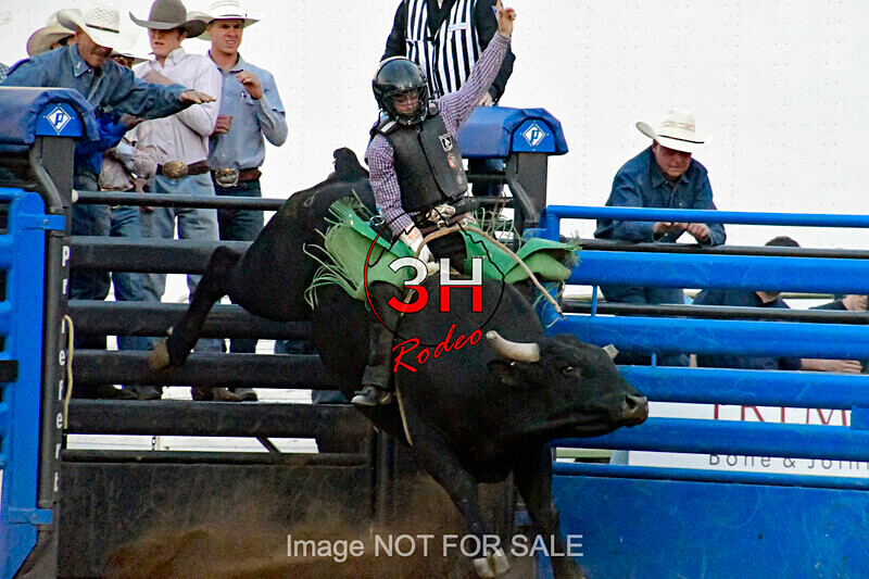 3HRodeo7-11-24_LJD_3HR2117_LJD - Mr. T Xtreme Bull Riding