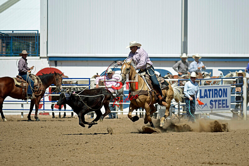 3HRodeo8-11-25_PRCASteer_06753_ - 2025 Colorado Stand Alone Steer Roping-Greeley