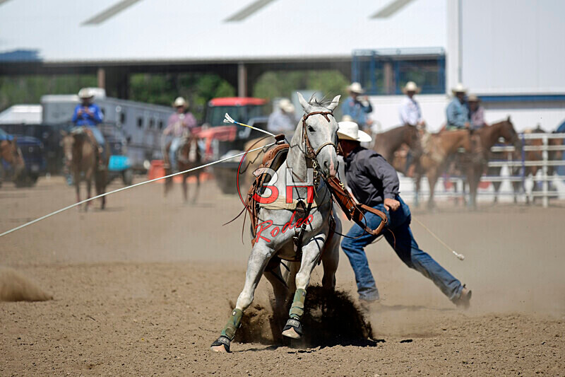 3HRodeo8-11-25_PRCASteer_07238_ - 2025 Colorado Stand Alone Steer Roping-Greeley