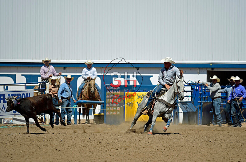 3HRodeo8-11-25_PRCASteer_06606_ - 2025 Colorado Stand Alone Steer Roping-Greeley