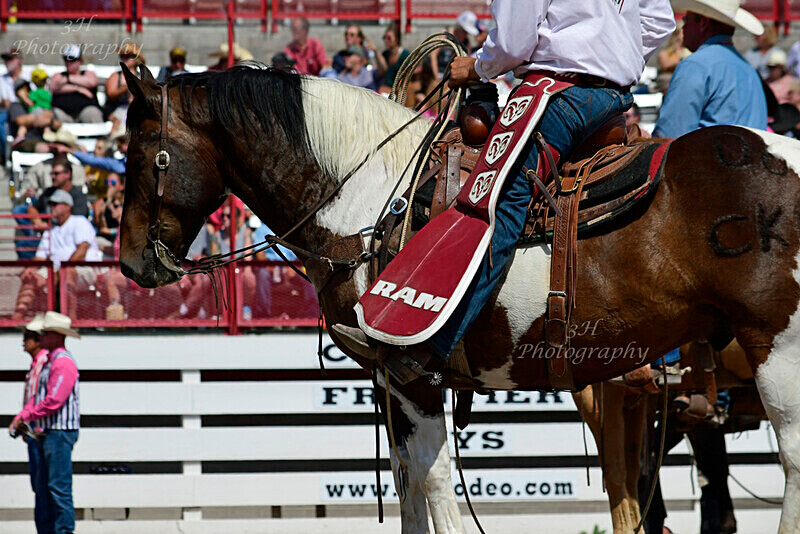 _DSC3950 - 2019 Cheyenne Frontier Days
