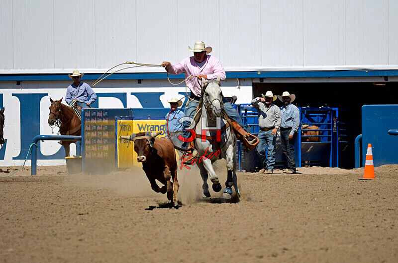 3HRodeo8-11-25_PRCASteer_07954_CTownsend - 2025 Colorado Stand Alone Steer Roping-Greeley