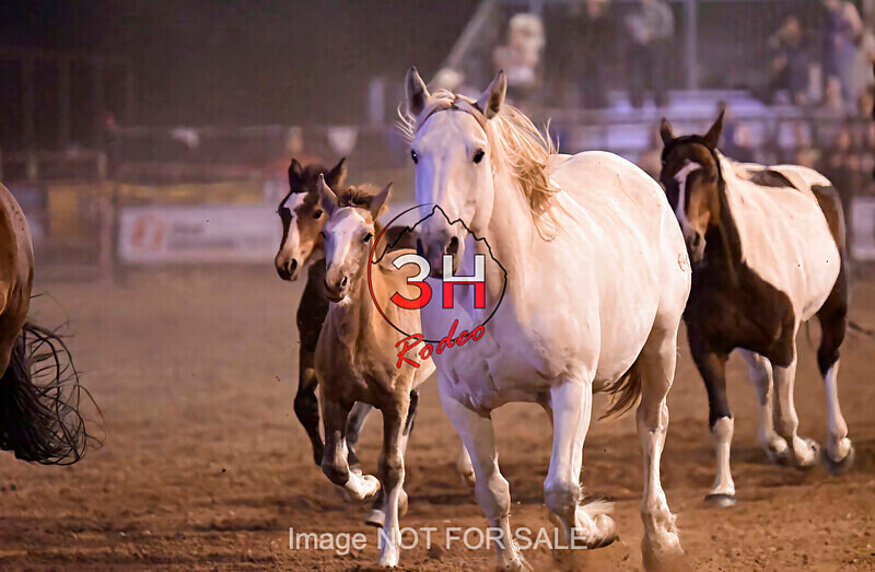 3HRodeo7-12-24_LJD_3HR5335_LJD - PRCA Rodeo - July 12, 2024