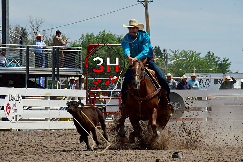 _DSC2014 - CFD Rodeo Performance - July 23rd