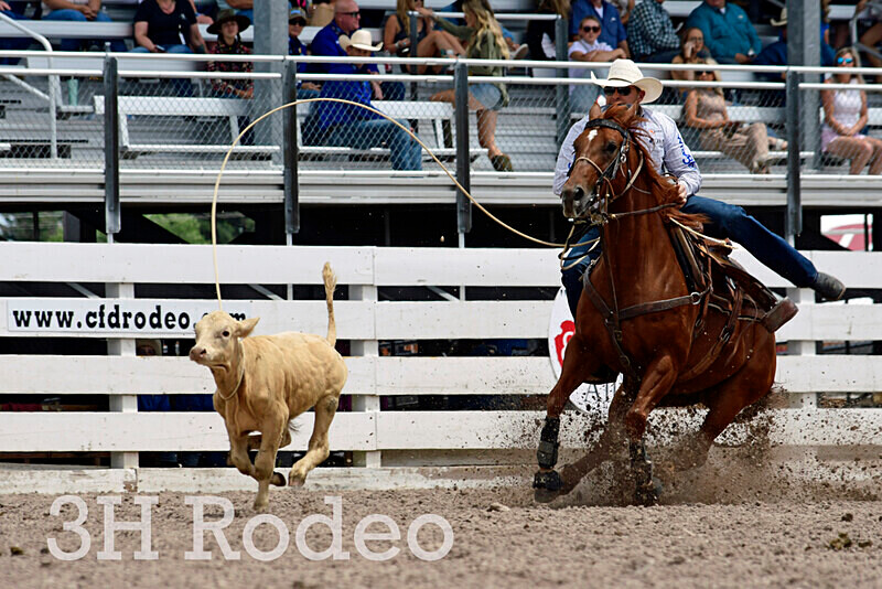 _DSC7713 - CFD Rodeo Performance - July 25th