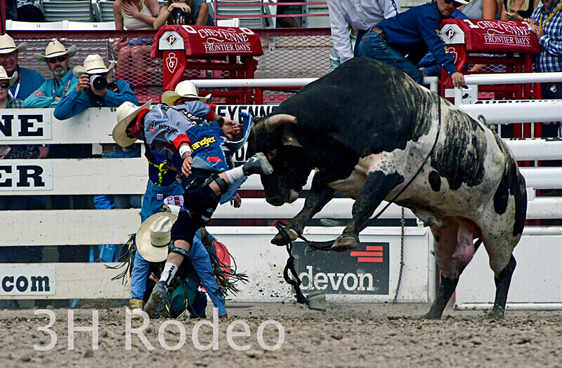 _DSC1707 - CFD Rodeo Performance - July 22nd