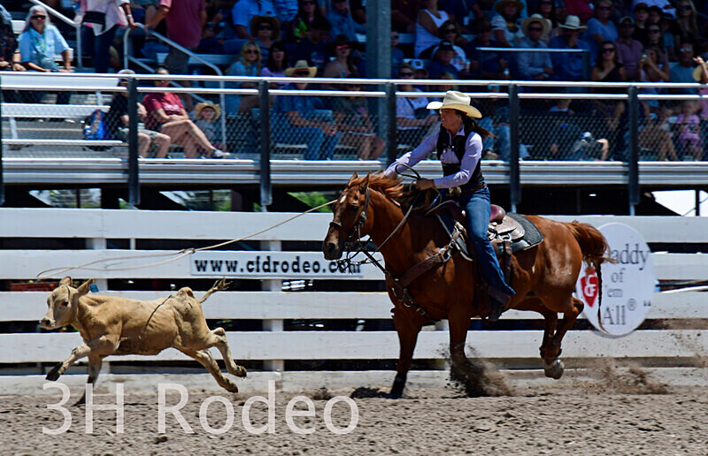 _DSC6175 - CFD Rodeo Performance - July 22nd