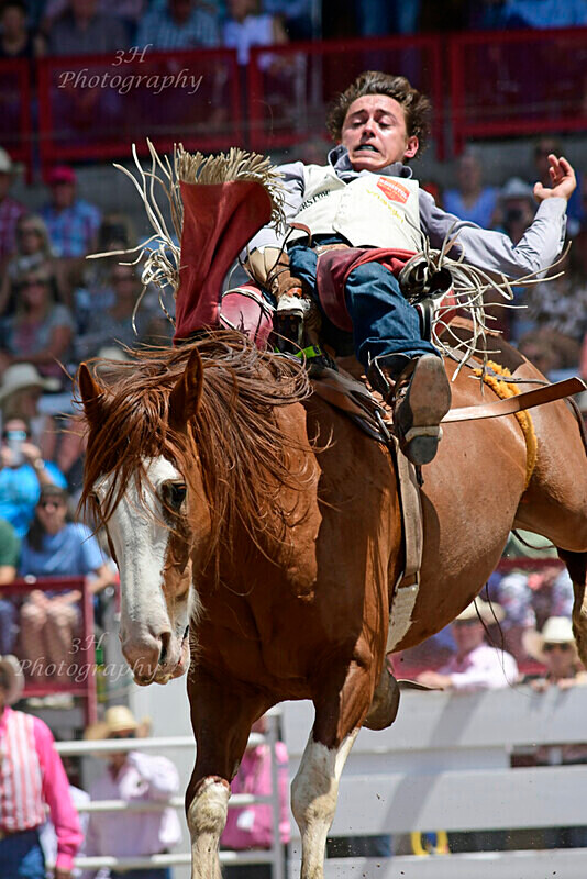 _DSC0822 - 2019 Cheyenne Frontier Days