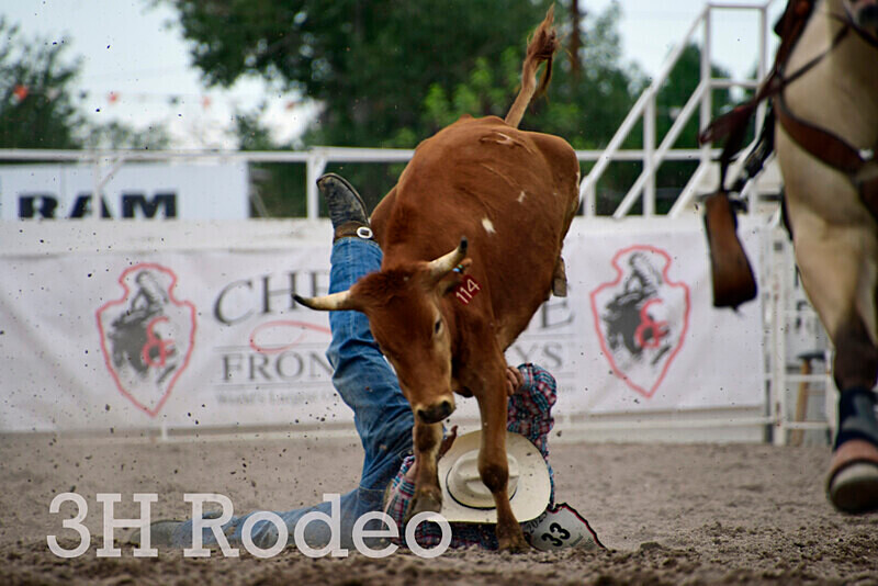 _DSC7018 - CFD Rodeo Performance - July 27th