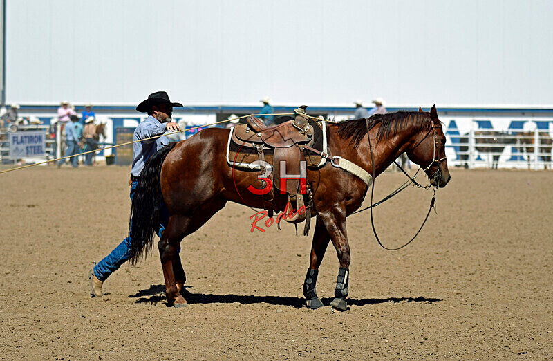 3HRodeo8-11-25_PRCASteer_07210_ - 2025 Colorado Stand Alone Steer Roping-Greeley