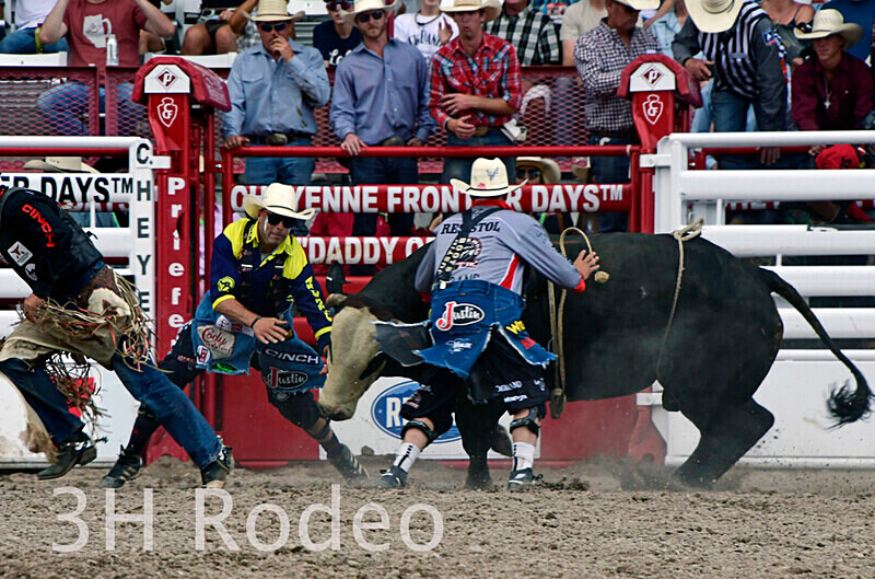 _DSC2033 - CFD Rodeo Performance - July 22nd