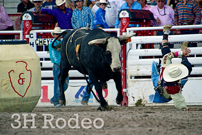 _DSC8680 - CFD Rodeo Performance - July 27th