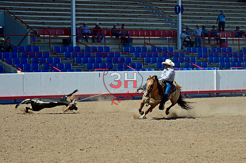 3HRodeo8-11-25_PRCASteer_07274_ - 2025 Colorado Stand Alone Steer Roping-Greeley