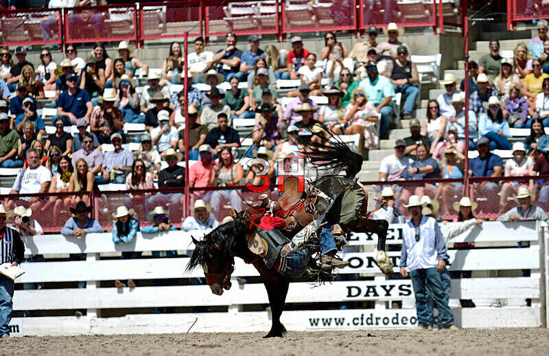 3HRodeo7-19-25_CFD_03953_ - July 19th Rodeo Performance