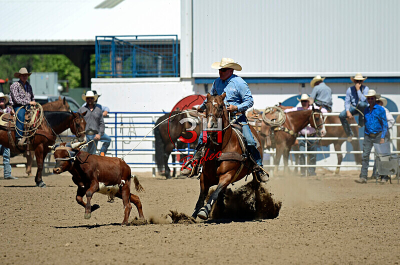 3HRodeo8-11-25_PRCASteer_06156_ - 2025 Colorado Stand Alone Steer Roping-Greeley