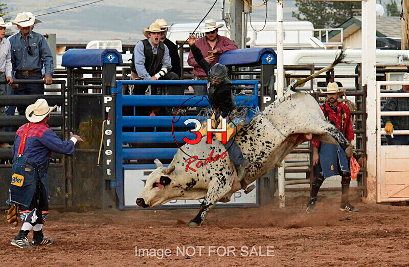 3HRodeo7-11-24_LJD_3HR1986_LJD - Mr. T Xtreme Bull Riding