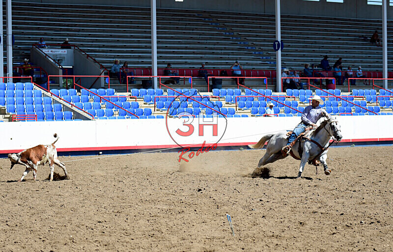 3HRodeo8-11-25_PRCASteer_01930_ - 2025 Colorado Stand Alone Steer Roping-Greeley