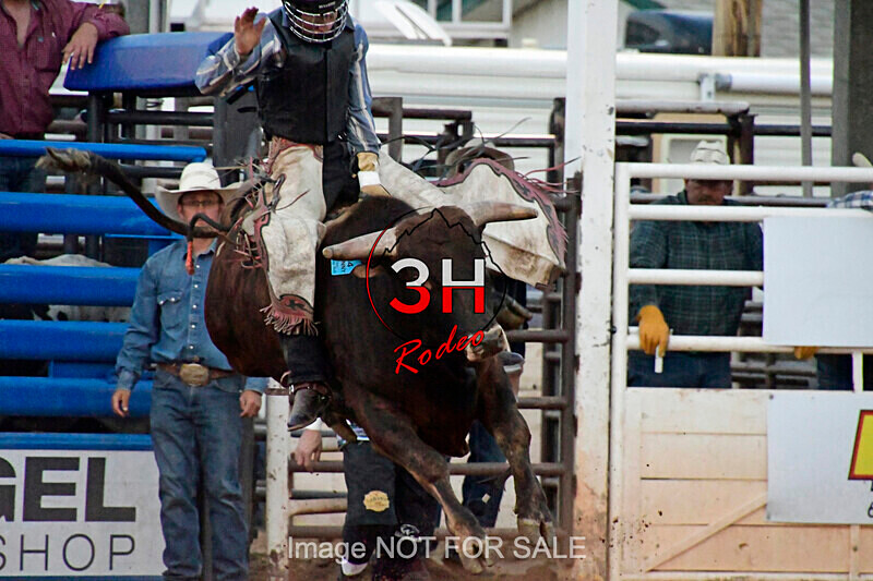 3HRodeo7-11-24_LJD_3HR2320_LJD - Mr. T Xtreme Bull Riding
