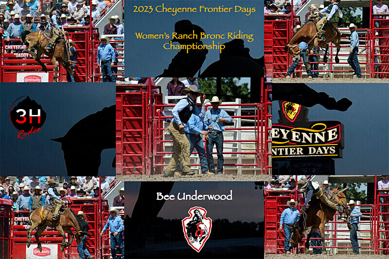 LeDoux Bronze Bee Collage - Rodeo Images as Artwork Pieces