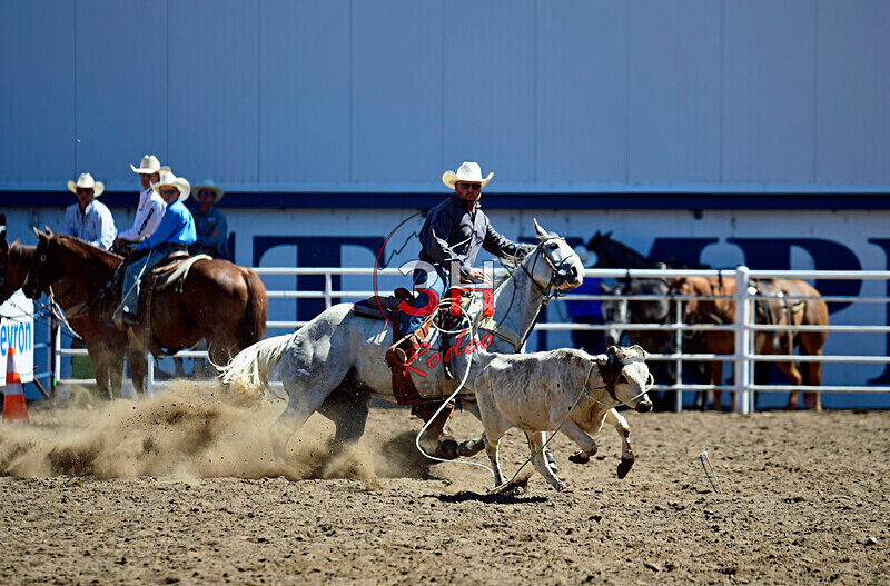 3HRodeo8-11-25_PRCASteer_02114_ - 2025 Colorado Stand Alone Steer Roping-Greeley