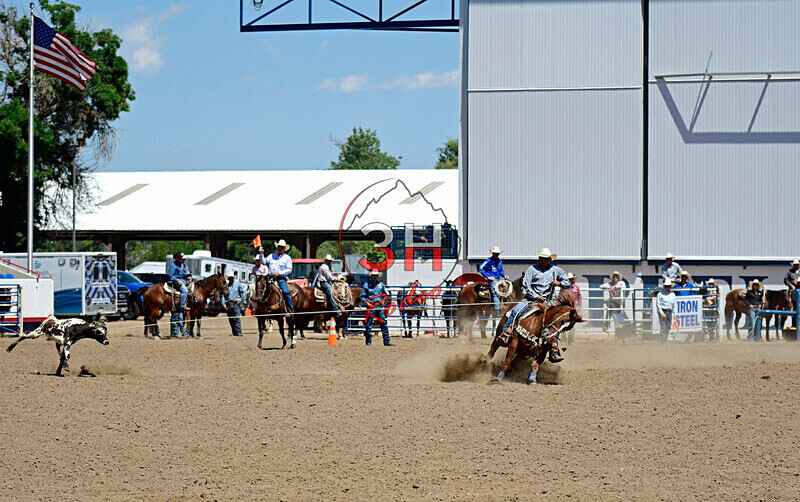 3HRodeo8-11-25_PRCASteer_05327_ - 2025 Colorado Stand Alone Steer Roping-Greeley