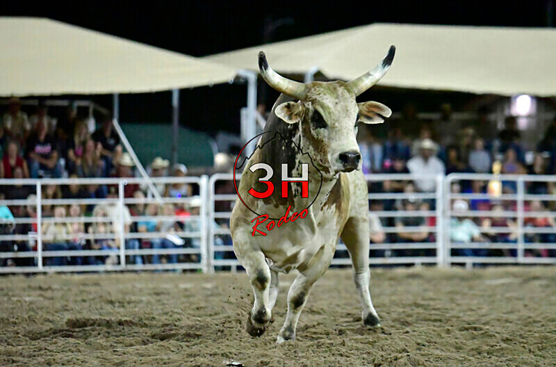 3HRodeo8-5-24_CFD_3HR-YUMA- 6152_ - AUG 5th Rodeo Performance