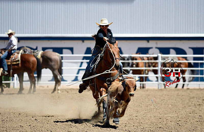3HRodeo8-11-25_PRCASteer_04478_ - 2025 Colorado Stand Alone Steer Roping-Greeley