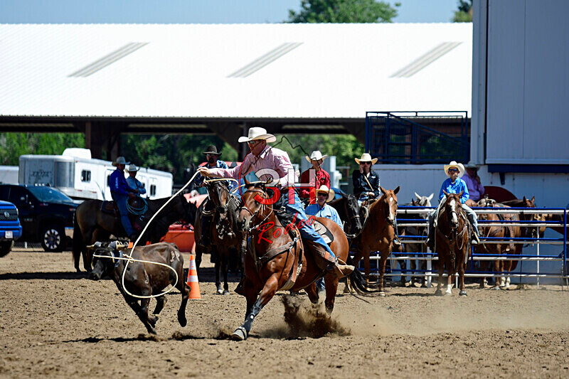 3HRodeo8-11-25_PRCASteer_03230_ - 2025 Colorado Stand Alone Steer Roping-Greeley