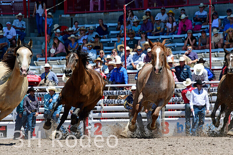 _DSC5016 - CFD Rodeo Performance - July 22nd