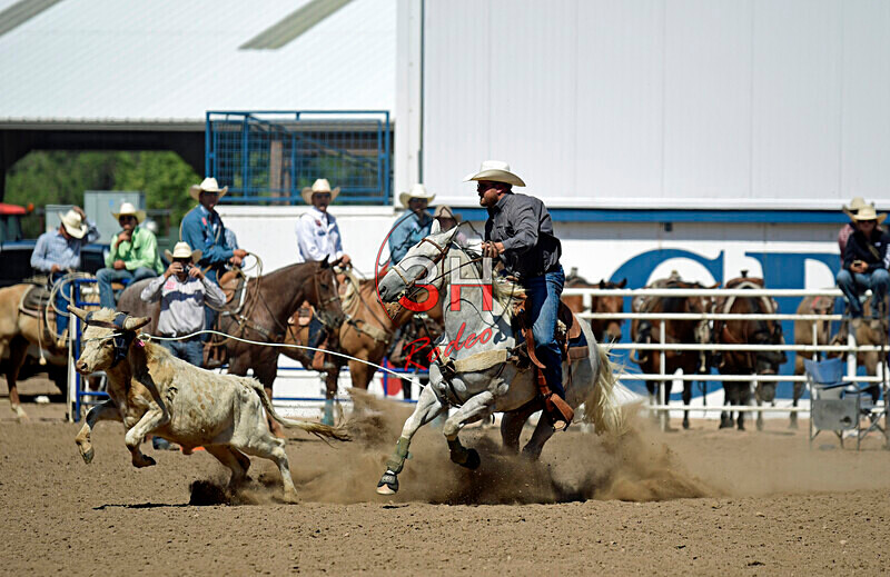 3HRodeo8-11-25_PRCASteer_07221_ - 2025 Colorado Stand Alone Steer Roping-Greeley