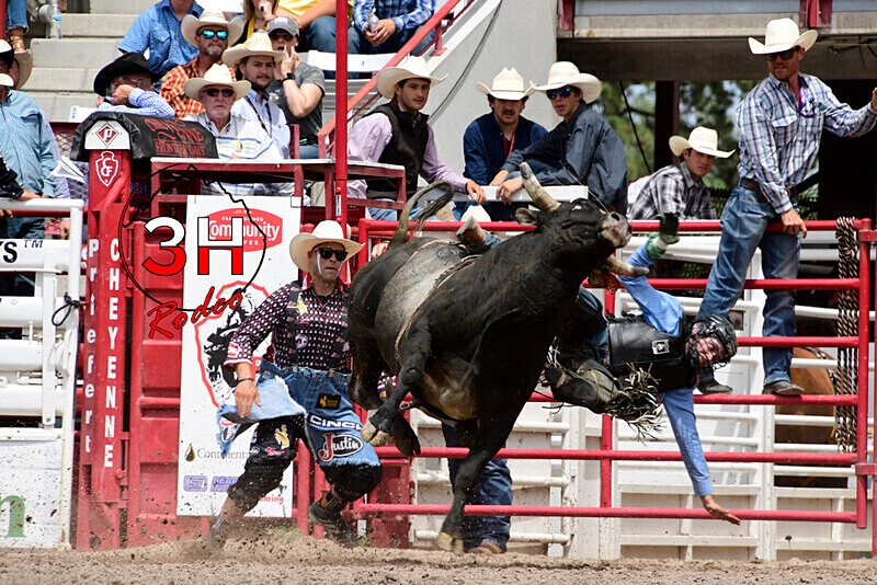 _DSC1482 - CFD Rodeo Performance - July 23rd