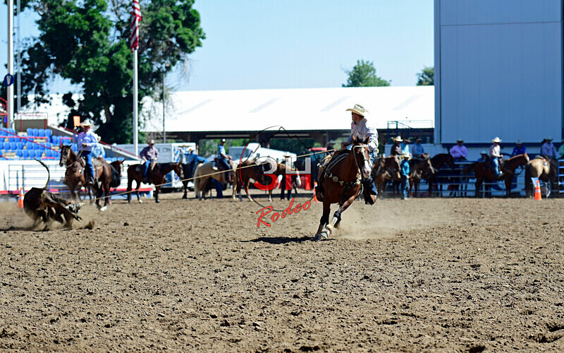 3HRodeo8-11-25_PRCASteer_00459_ - 2025 Colorado Stand Alone Steer Roping-Greeley