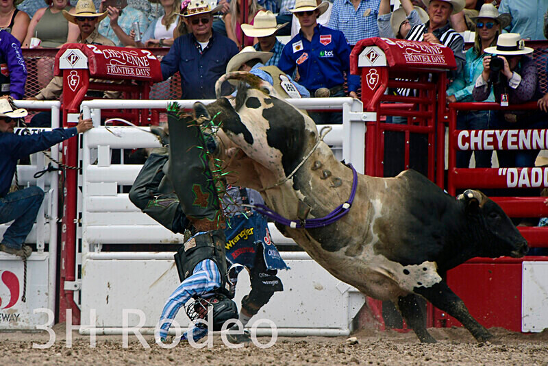 _DSC1365 - CFD Rodeo Performance - July 22nd