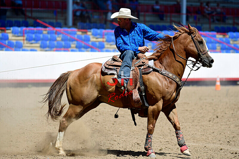 3HRodeo8-11-25_PRCASteer_04241_ - 2025 Colorado Stand Alone Steer Roping-Greeley