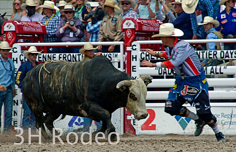 _DSC1543 - CFD Rodeo Performance - July 22nd