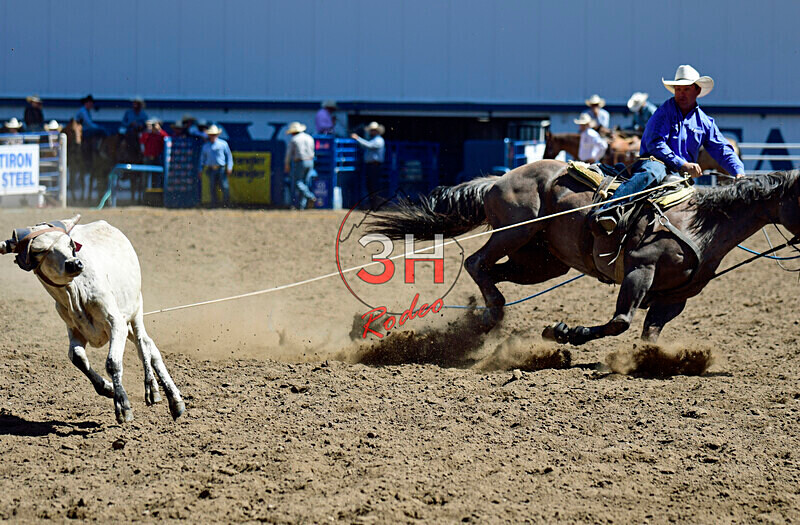 3HRodeo8-11-25_PRCASteer_01993_ - 2025 Colorado Stand Alone Steer Roping-Greeley