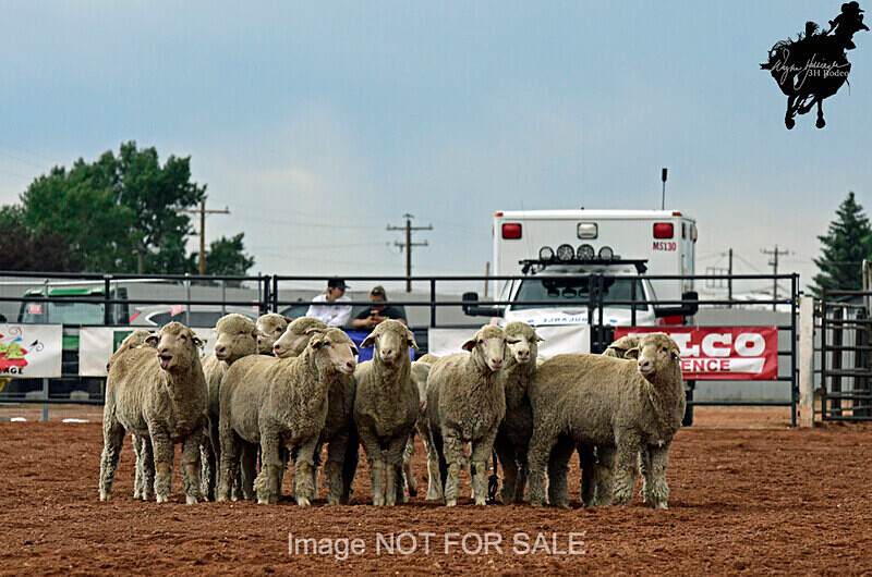3HRodeo7-10-24_3HR0411_LJD - Jubilee Days Junior Bull Riding