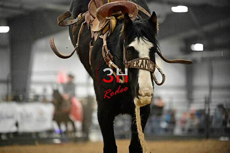 3HRodeo_Frozen_Fury_FEB_2026_00650 - 2026 Frozen Fury on the Plains