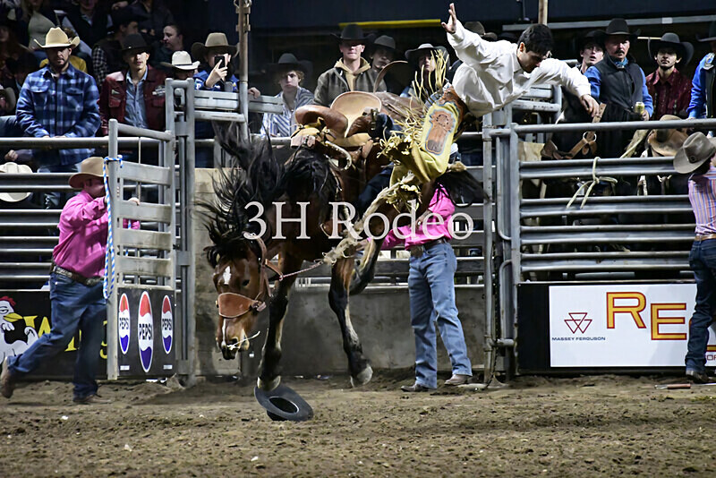 _DSC2921 - Extreme Rodeo Challenge