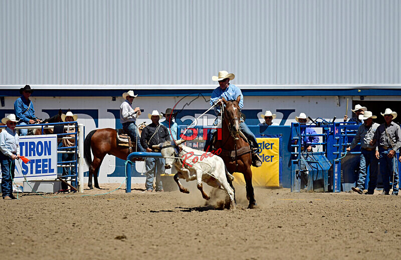 3HRodeo8-11-25_PRCASteer_05437_ - 2025 Colorado Stand Alone Steer Roping-Greeley