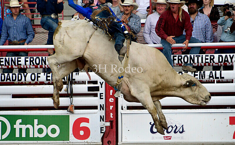 _DSC8193 - Championship Sunday Rodeo Perf - July 30th