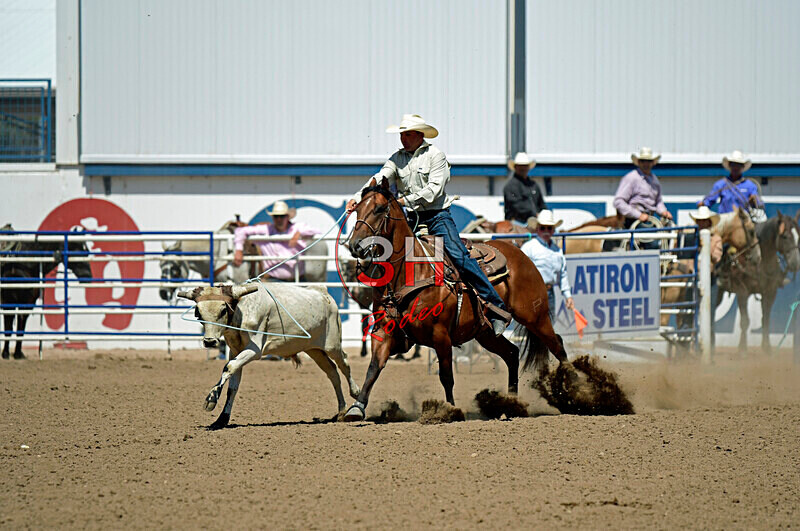 3HRodeo8-11-25_PRCASteer_06716_ - 2025 Colorado Stand Alone Steer Roping-Greeley