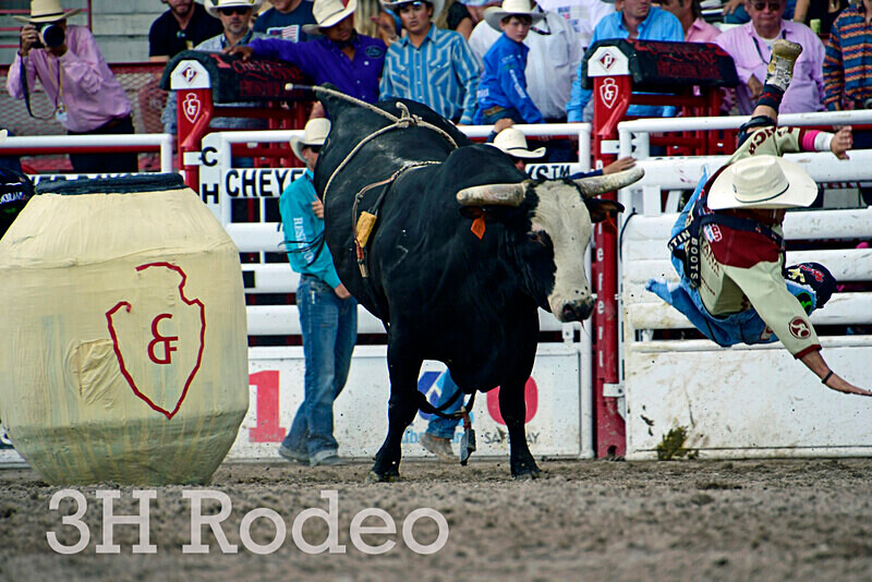 _DSC8679 - CFD Rodeo Performance - July 27th
