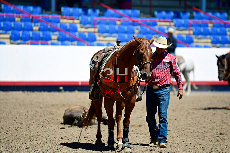 3HRodeo8-11-25_PRCASteer_03440_ - 2025 Colorado Stand Alone Steer Roping-Greeley