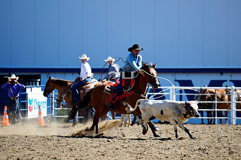 3HRodeo8-11-25_PRCASteer_01248_ - 2025 Colorado Stand Alone Steer Roping-Greeley