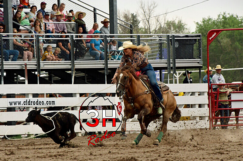 _DSC0396 - CFD Rodeo Performance - July 23rd