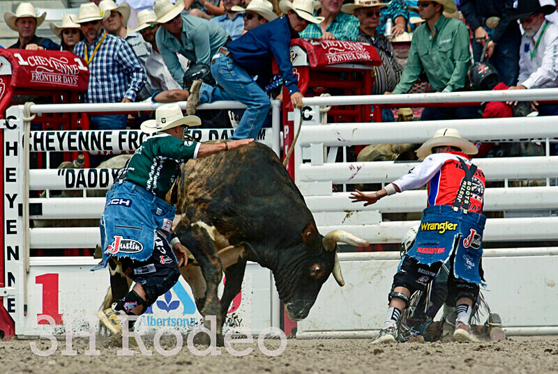 _DSC7403 - CFD Rodeo Performance - July 25th