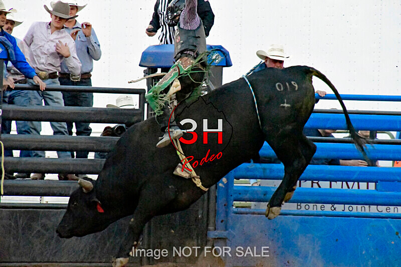 3HRodeo7-11-24_LJD_3HR2124_LJD - Mr. T Xtreme Bull Riding