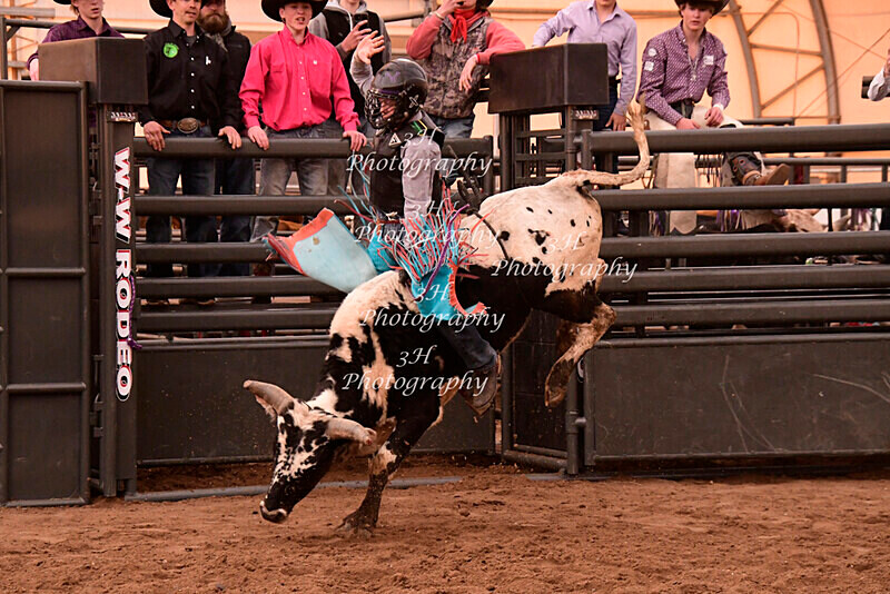 _DSC4388 - 2021 Flying B Youth Bull Riding Series Finals